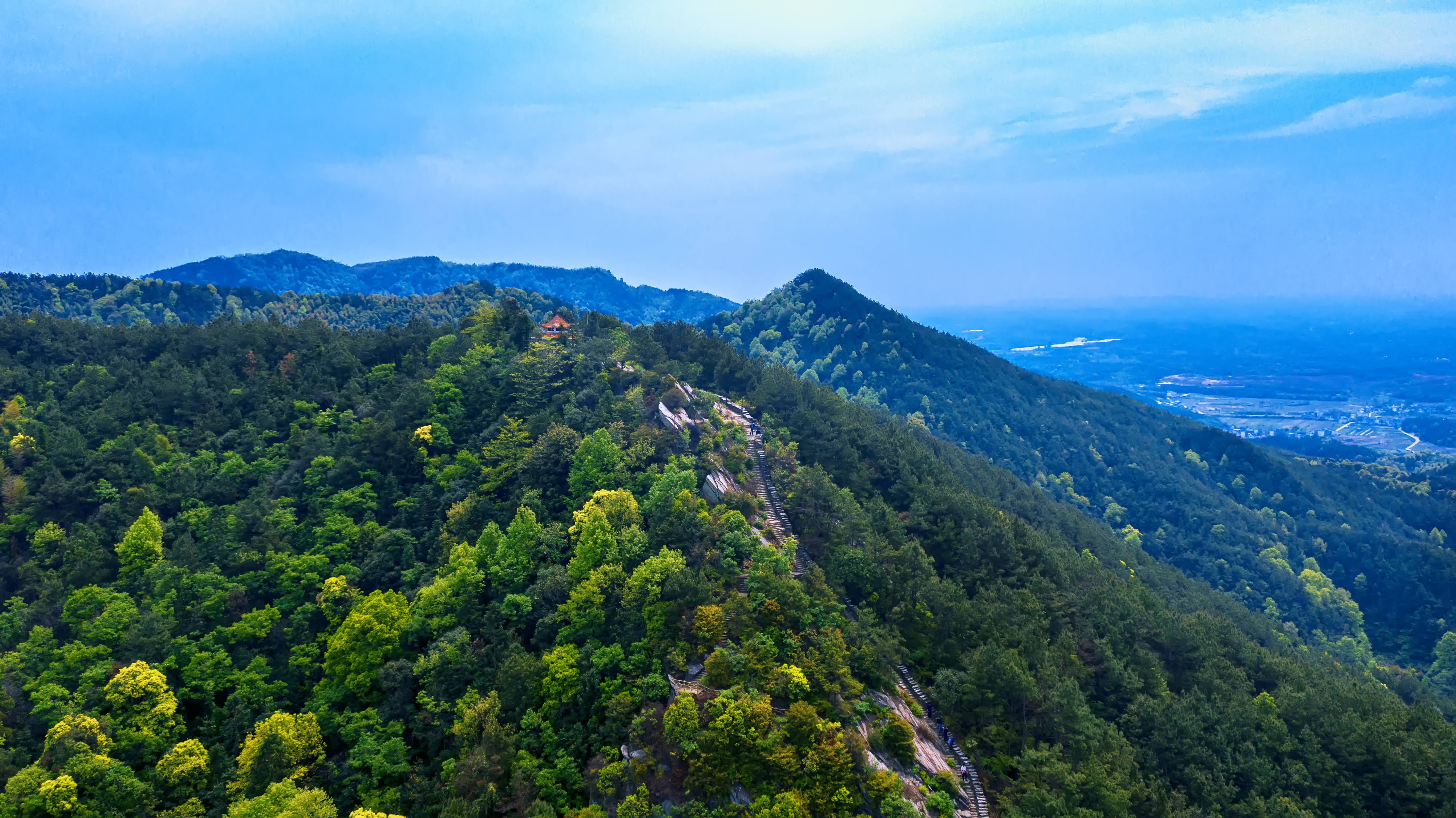 青山景观